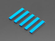 20-pin 0.1" Female Header - Blue - 5 pack