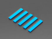20-pin 0.1" Female Header - Blue - 5 pack