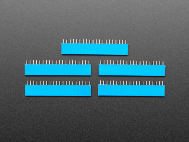 20-pin 0.1" Female Header - Blue - 5 pack