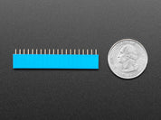 20-pin 0.1" Female Header - Blue - 5 pack