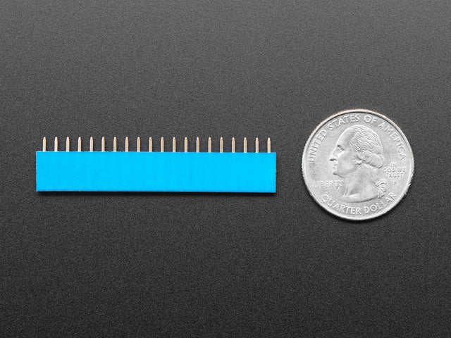 20-pin 0.1" Female Header - Blue - 5 pack