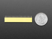 20-pin 0.1" Female Header - Yellow - 5 pack