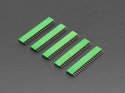20-pin 0.1" Female Header - Green - 5 pack