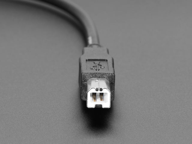 4216-01.jpg