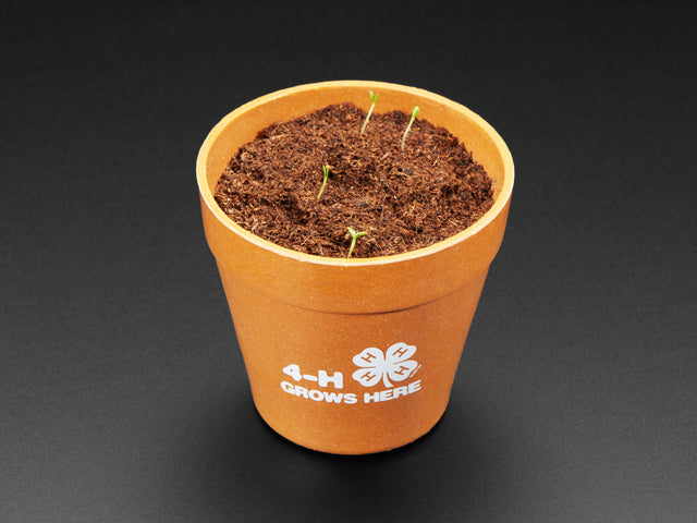 4-H Grow Your Own Clovers Kit with Circuit Playground Express