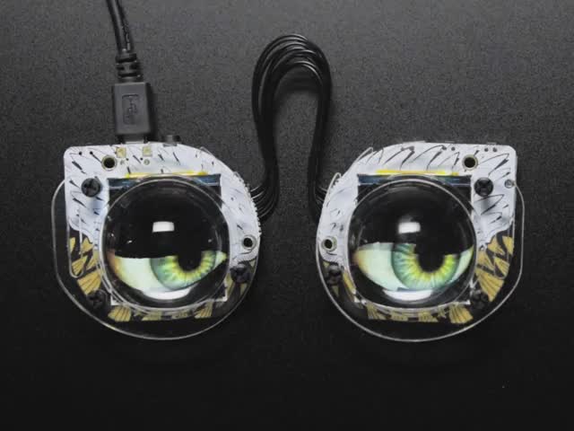 Clear Acrylics and Hardware Kit for Monster M4sk