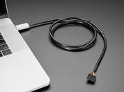 FTDI Serial TTL-232 USB Type C Cable