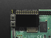 Adafruit Mini PiTFT - 135x240 Color TFT Add-on for Raspberry Pi