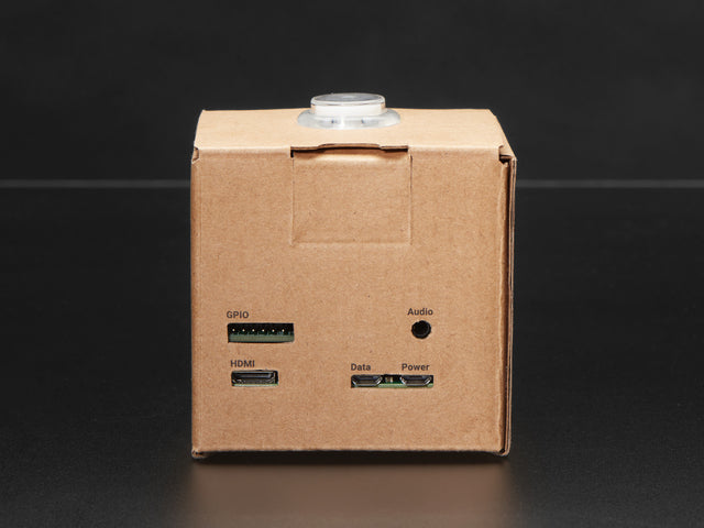 Google AIY Voice Kit - Black Girls CODE