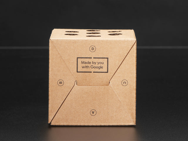 Google AIY Voice Kit - Black Girls CODE