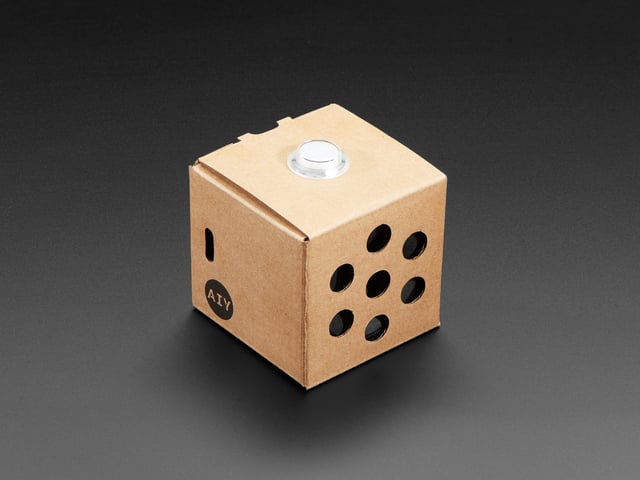 Google AIY Voice Kit - Black Girls CODE