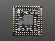 CircuitBrains Deluxe - CircuitPython-compatible SAMD51 Module