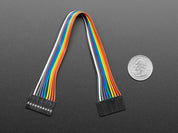 2.54mm 0.1" Pitch 10-pin Jumper Cable - 20cm long