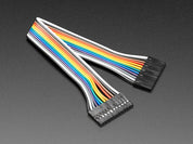 2.54mm 0.1" Pitch 12-pin Jumper Cable - 20cm long