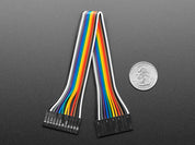 2.54mm 0.1" Pitch 12-pin Jumper Cable - 20cm long