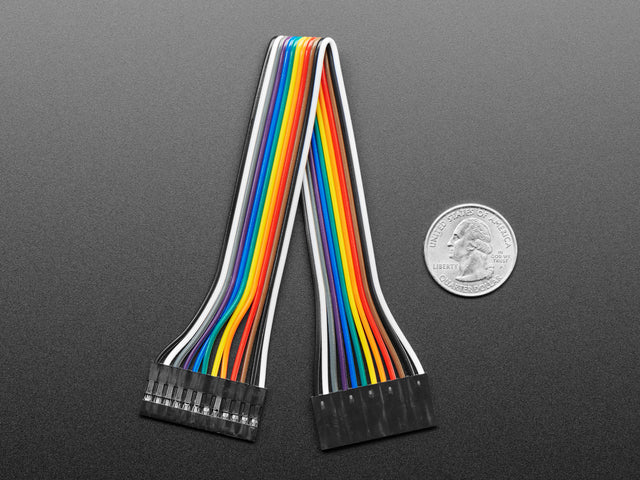 2.54mm 0.1" Pitch 12-pin Jumper Cable - 20cm long