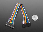 2.54mm 0.1" Pitch 14-pin Jumper Cable - 20cm long