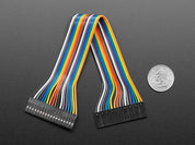 2.54mm 0.1" Pitch 18-pin Jumper Cable - 20cm long