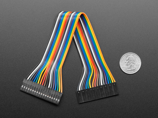 2.54mm 0.1" Pitch 18-pin Jumper Cable - 20cm long