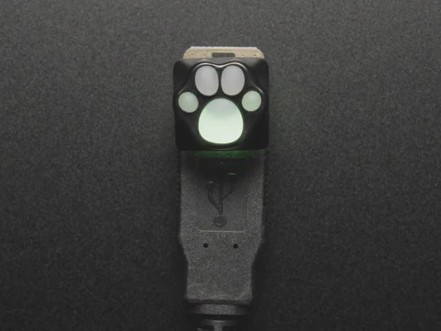 Black Aluminum Kitty Paw Keycap with Translucent Silicone Toes