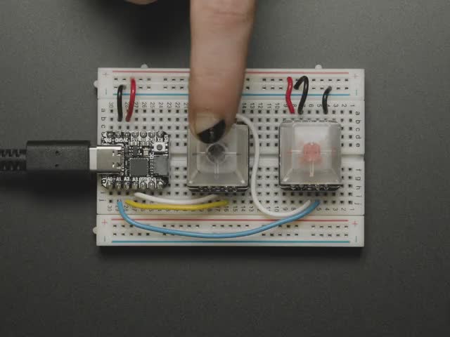 NeoKey Socket Breakout for Mechanical Key Switches with NeoPixel