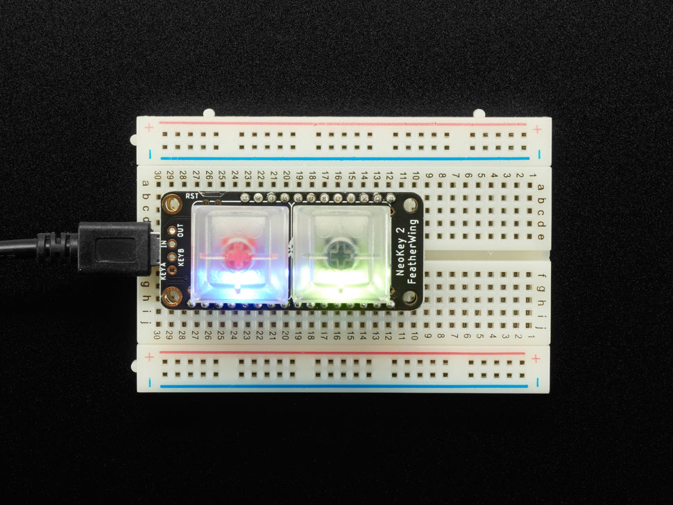 NeoKey FeatherWing - Two Mechanical Key Switches with NeoPixels