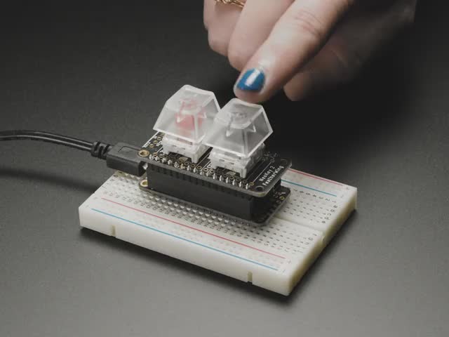 NeoKey FeatherWing - Two Mechanical Key Switches with NeoPixels