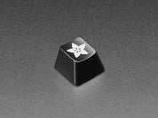 Adafruit Etched R4 Keycap for MX Compatible Switches