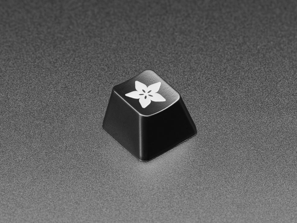 Adafruit Etched R4 Keycap for MX Compatible Switches