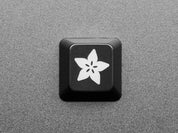 Adafruit Etched R4 Keycap for MX Compatible Switches