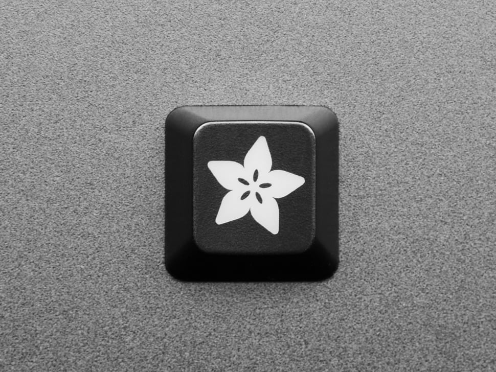 Adafruit Etched R4 Keycap for MX Compatible Switches