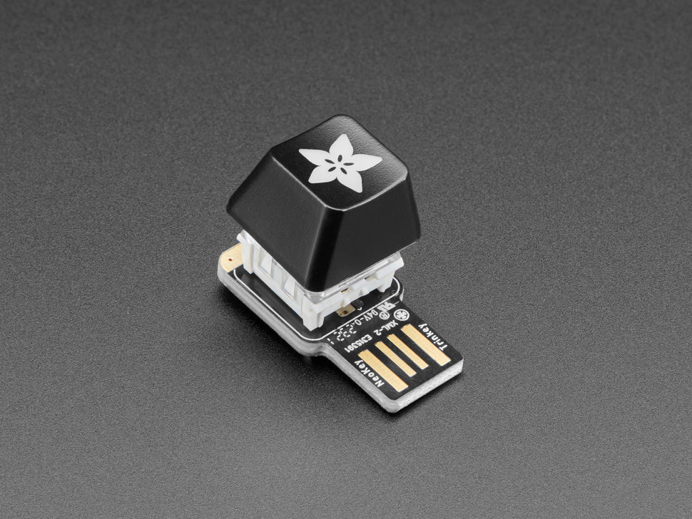 Adafruit Etched R4 Keycap for MX Compatible Switches