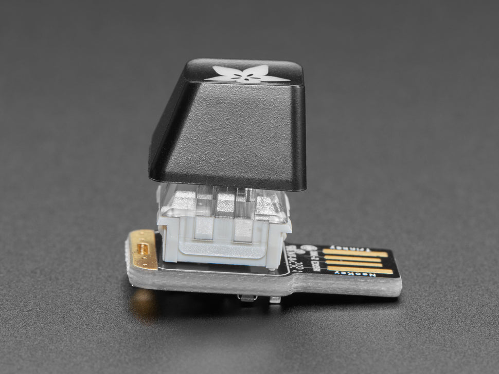 Adafruit Etched R4 Keycap for MX Compatible Switches
