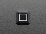 Etched Glow-Through Keycap - Zener ESP Square Design