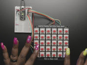 NeoKey 5x6 Ortho Snap-Apart Mechanical Key Switches w/ NeoPixel