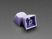 Purple MA Keycaps for MX Compatible Switches - 5 pack