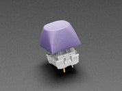 Purple MA Keycaps for MX Compatible Switches - 5 pack