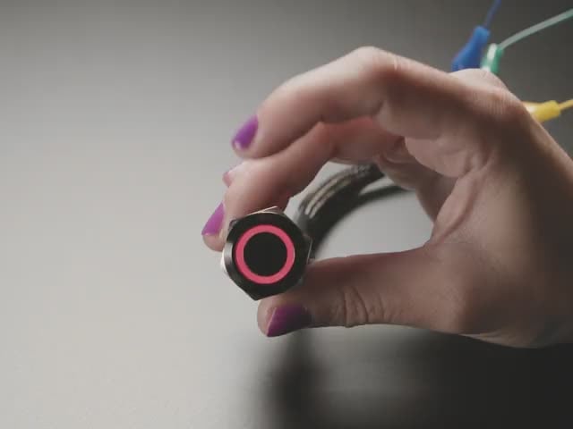 ChromaTek 19mm Rugged Momentary Metal Pushbutton with NeoPixel
