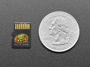 64MB Micro SD Memory Card