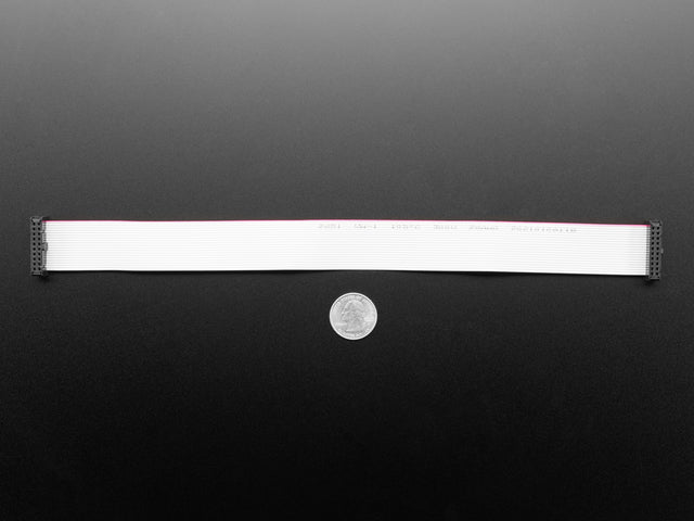 GPIO Ribbon Cable 2x10 IDC Cable - 20 pins 12" long