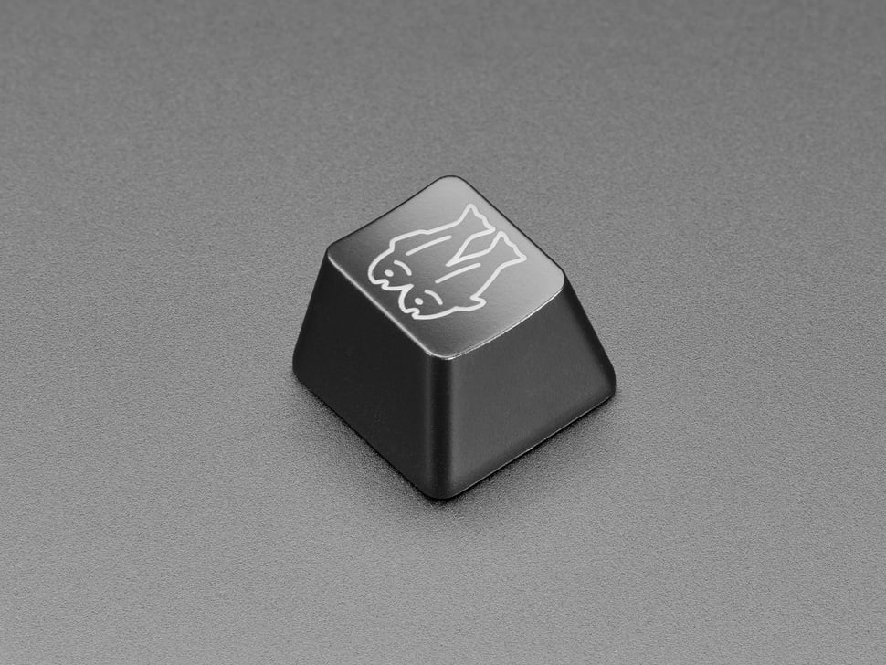 5331-00.jpg