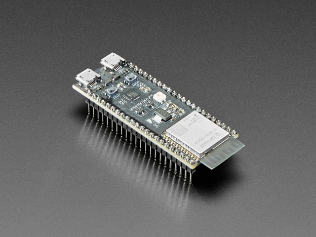 5336-00.jpg