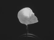 dLUX-dLITE Cool White Skull Shape LEDs 5 Pack by Unexpected Labs