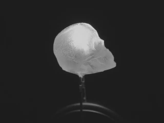 dLUX-dLITE Cool White Skull Shape LEDs 5 Pack by Unexpected Labs