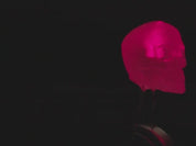 dLUX-dLITE Red Skull Shape LEDs 5 Pack by Unexpected Labs