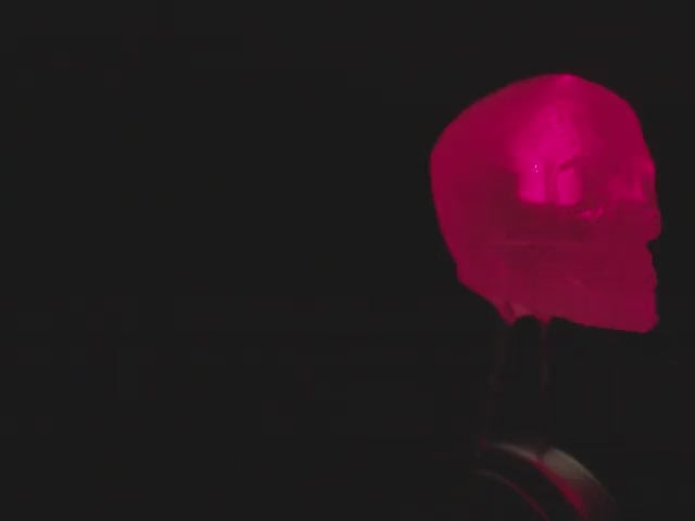 dLUX-dLITE Red Skull Shape LEDs 5 Pack by Unexpected Labs