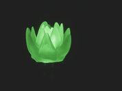 dLUX-dLITE Green Succulent Shape LEDs 5 Pack by Unexpected Labs