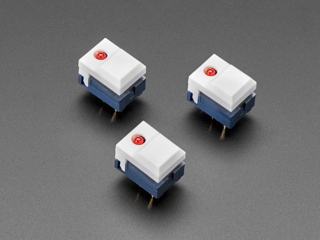 5519-00.jpg