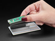 Socket Headers for Raspberry Pi Pico - 2 x 20 pin Female Headers