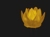 dLUX-dLITE Yellow Succulent Shape LEDs 5 Pack by Unexpected Labs
